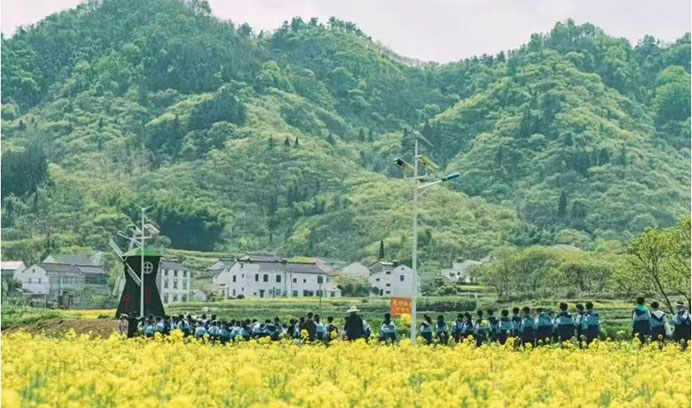 品茶香·探自然，绘茶园春色——长征娱乐写生营预告